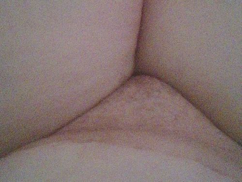 Prinsen