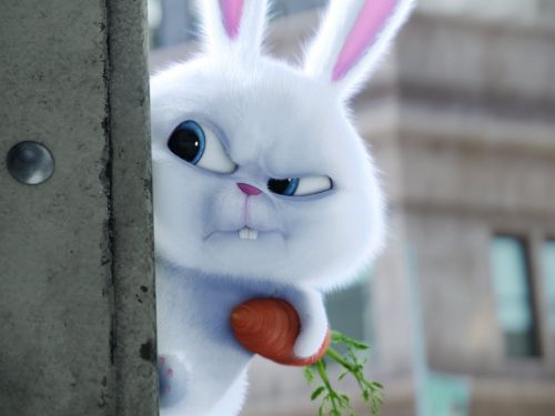 Poquito