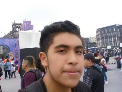 Hybram666