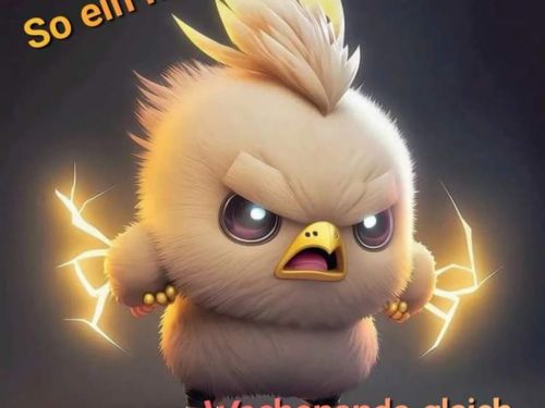 Yoroalli