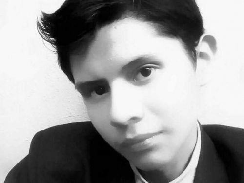 Ernestogar