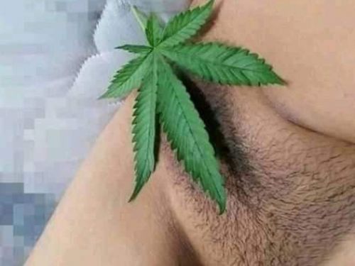 Golositaa