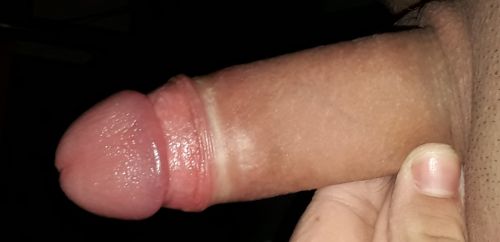 Pupazapul