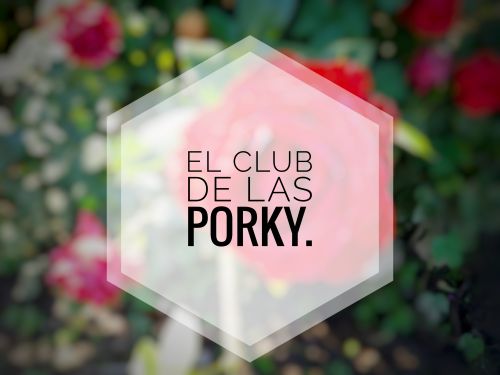 Porky0Follero