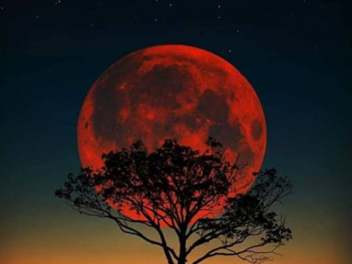 ricardobaltazarcoriarosal