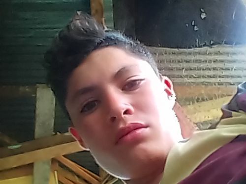 Dariogo