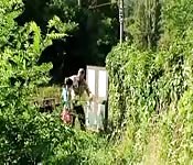 Dans la forêt et les bois