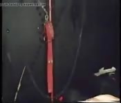 Mascherata lo prende duro