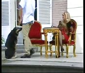 Comincia tutto con una chiacchierata