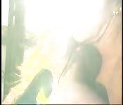 Une parodie porno en costume