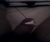 Jungen Schwanz gewichst