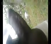 Un gran cazzo da succhiare al parco