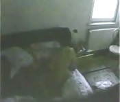 Registrato in camera